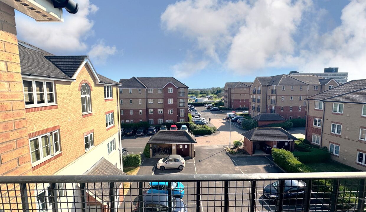 5490.jpg