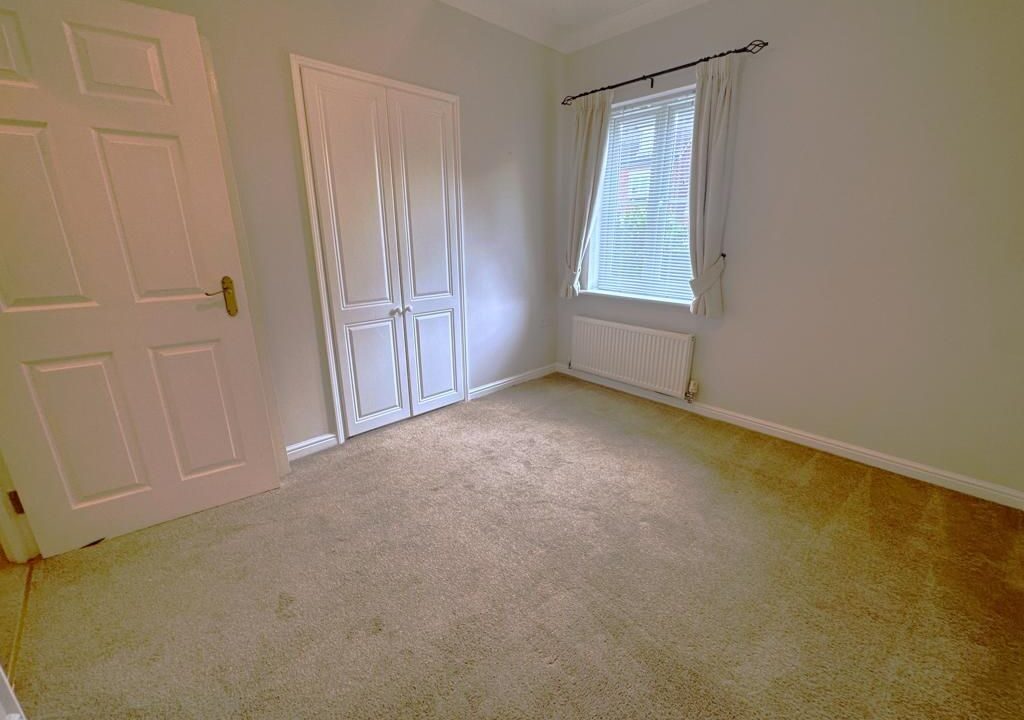 6493.jpg