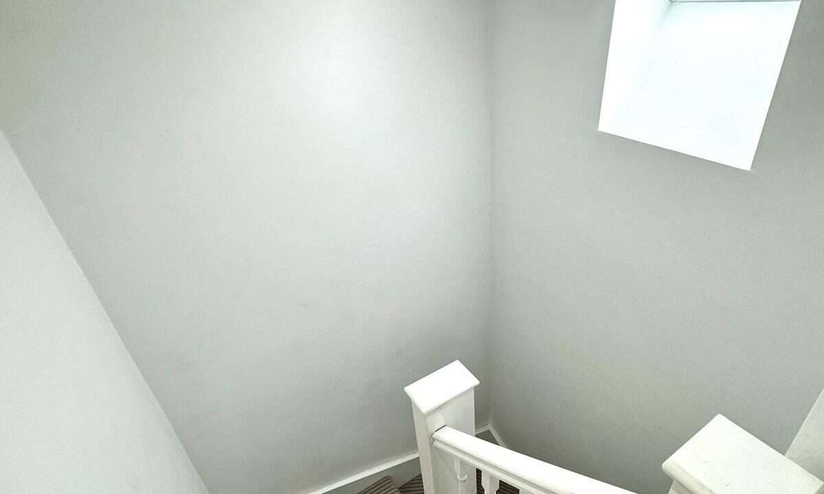 8755.jpg