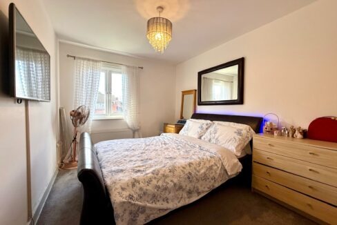 15373.jpg