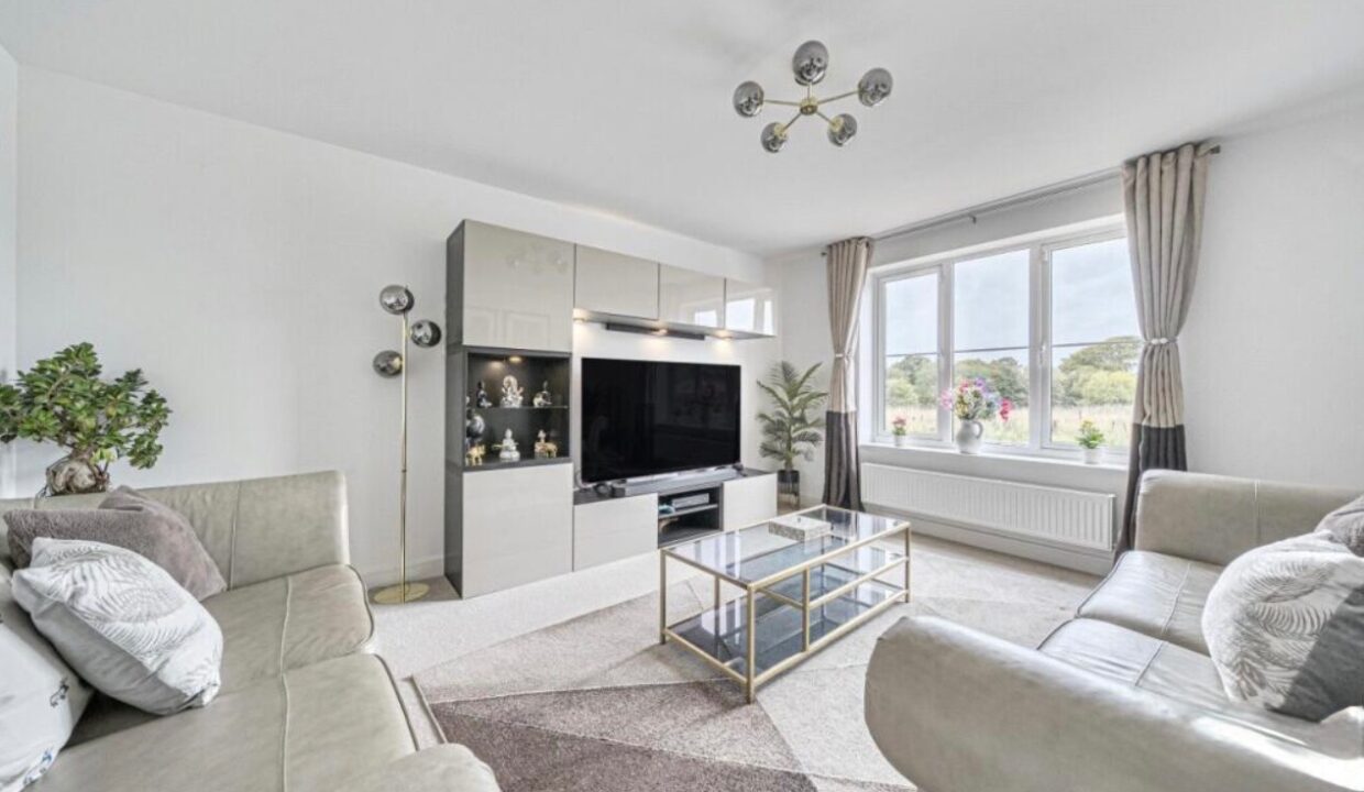 17334.jpg