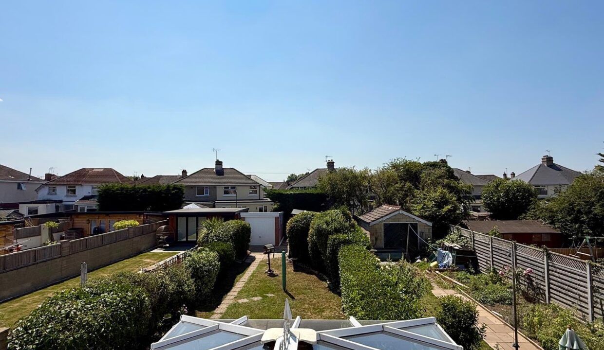 17655.jpg