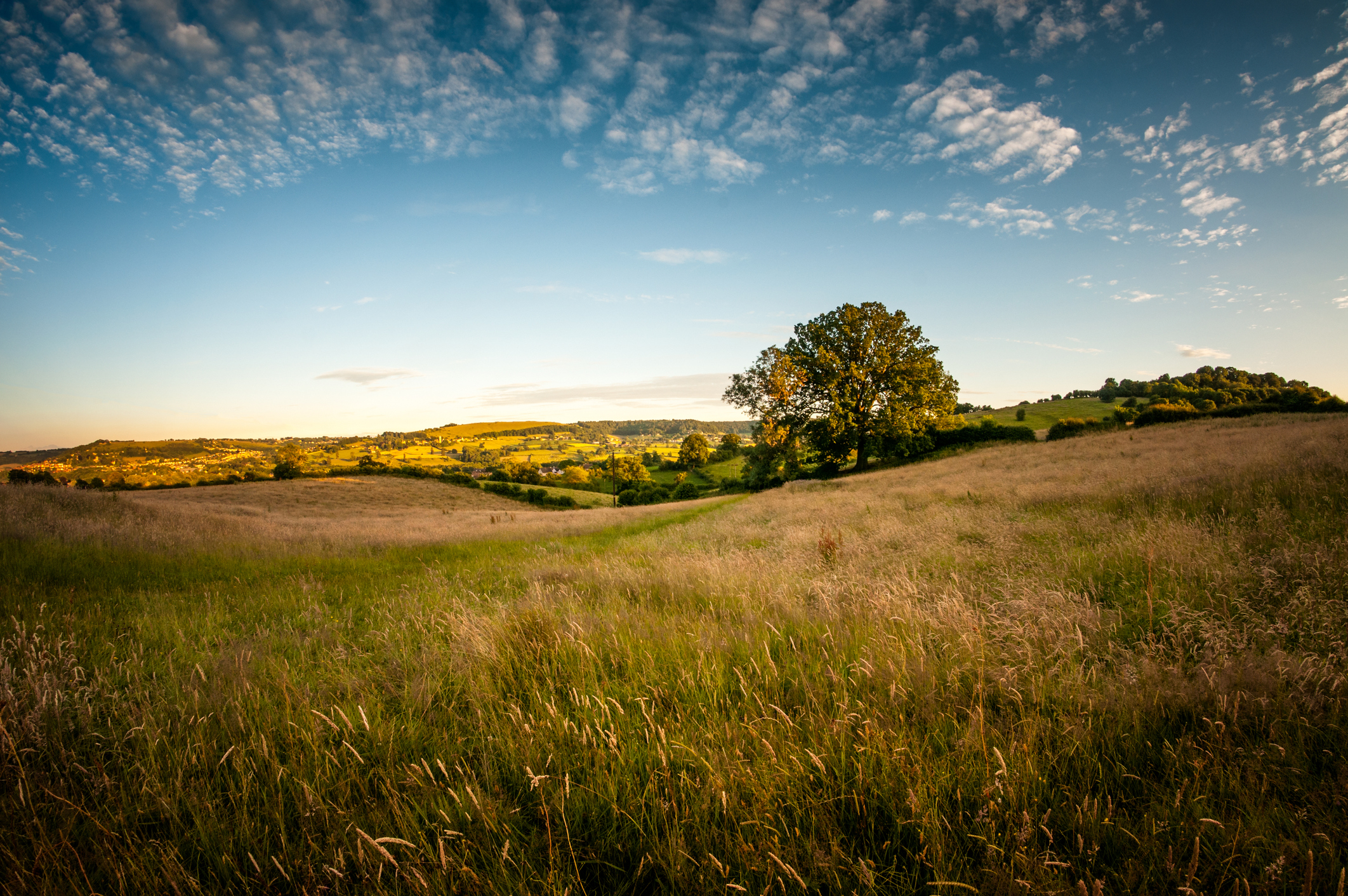 Estate Agent Covingham | Miles Bryon