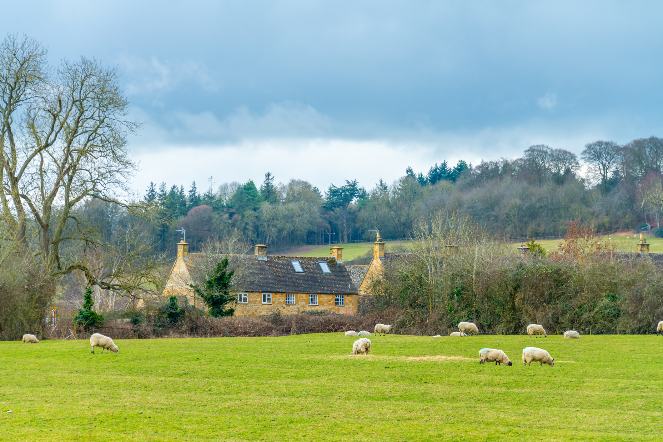 Estate Agent Covingham | Miles Bryon